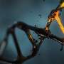 New gene activity tool measures biological age of cells and screens aging-related compounds