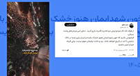 مثل همان بازی خاص با اسپانیا جانانه بجنگید