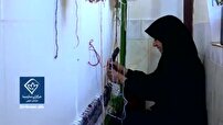 قالی بافان خراسان جنوبی در پیچ  و خم حمایت از دسترنج