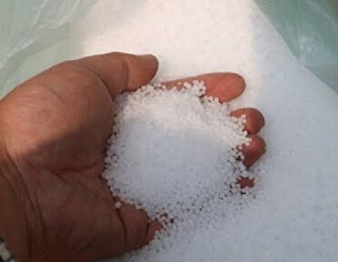 تأمین کود اوره کشت پائیزه کشاورزان گلستانی
