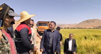 پیگیری نماینده مردم خرم‌آباد برای ساخت سد داربلوط در بیرانشهر لرستان