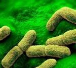 US 'watching closely' after plague researcher dies in Russia, Rubio says
