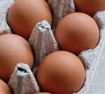 One dead and hundreds ill in UK salmonella outbreak
