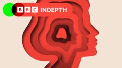 A split in the spectrum? The ongoing battle to define autism