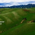 Xinjiang: Where tradition and development dance in harmony