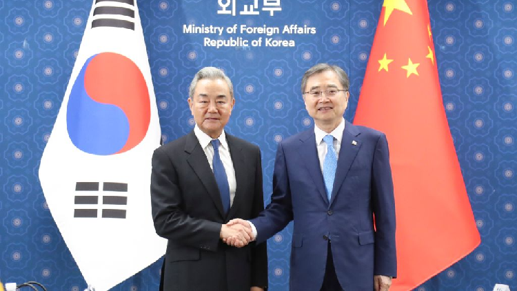 Chinese FM calls for healthy, sustainable China-South Korea ties