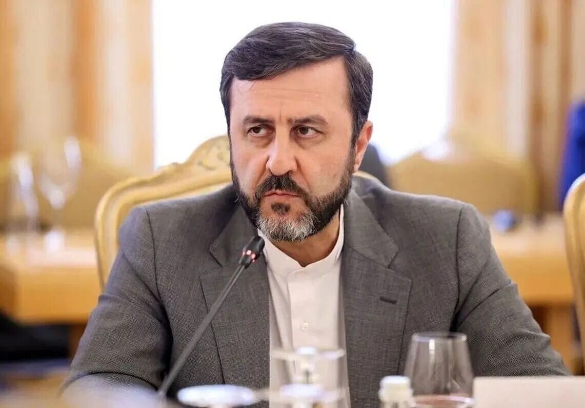 غریب‌آبادی در سازمان ملل: فقط ابراز نگرانی کافی نیست + فیلم