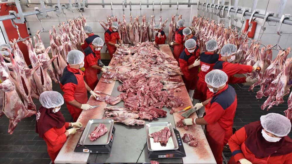 افزایش عرضه و ثبات نسبی بازار گوشت در پاییز