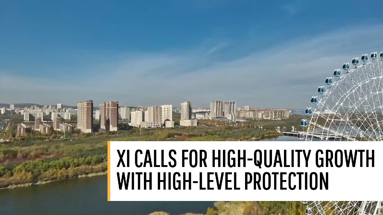 Xi calls for high-quality growth with high-level protection