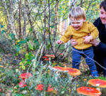 Why families are being urged to look closer on autumn walks