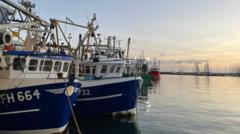 Extreme marine heatwave expected for parts of UK with risk to sea life, Met Office warns