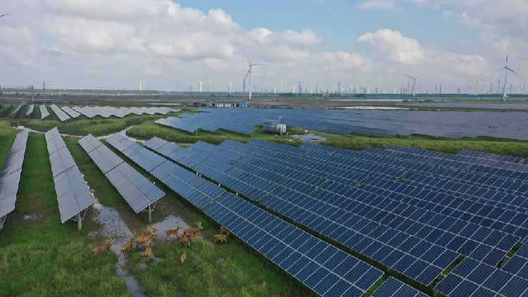 China's green reform reshapes its energy future, eases global pressure