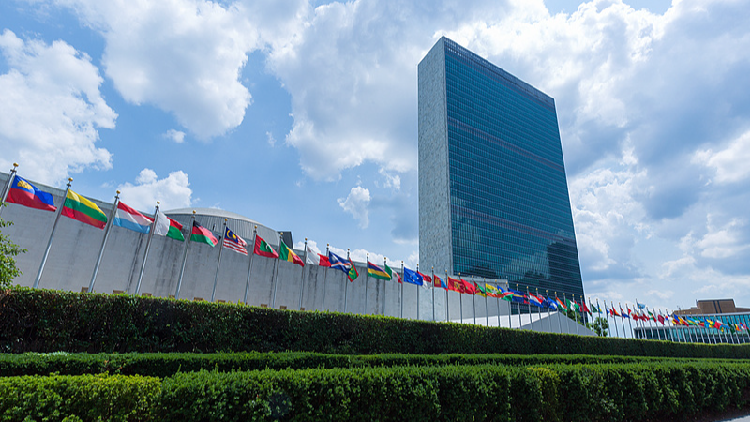 UN condemns drone strikes in Sudan