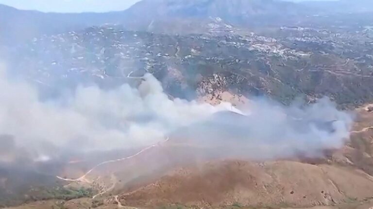 Three injured in wildfire on Spain's Costa del Sol