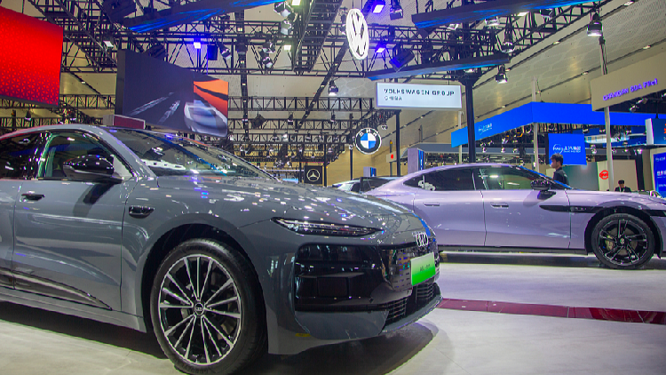 China's NEV market emerges as key driver of global growth