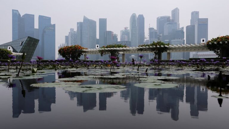 Not just about tax: why Australia’s tech entrepreneurs are moving to Singapore