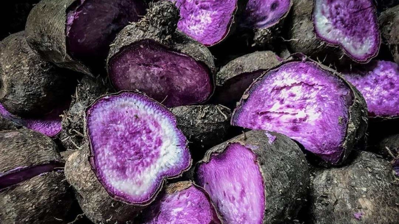Thai beer heir opens up, Philippine ube’s ‘purple gold rush’: 7 Asia highlights