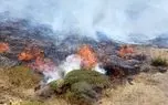 ویدئو؛ دهمین آتش‌سوزی میانکاله در یک ماه/ بالگرد برای مهار آتش به منطقه اعزام شد
