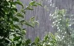 ویدئو؛ خیابان‌های یاسوج از باران تابستانی تر شد