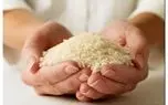 چطور بهترین برنج ایرانی را بخریم؟