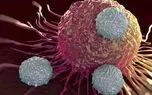 پادتن‌های خودایمنی چگونه به مقابله با سرطان کمک می‌کنند؟