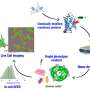 Bacterial protein reveals a hidden rule for controlling calcium