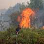 Indonesia fires have burned nearly 2 million hectares: Monitor