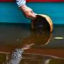 Guatemala ensures survival of vulnerable 'fossil' fish