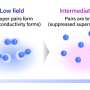 A magnetic field that kills superconductivity can also bring it back