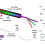 Hollow-core fiber platform could help different quantum technologies connect