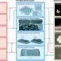 Advances in materials science are helping unlock secrets of nanomaterials