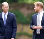 Will Harry's return heal deep-rooted rift with William?