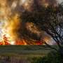 Africa's wildfire season is actually getting shorter, scientists think they know why