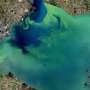 Hidden chemical pathway could keep phosphorus from fueling lake algal blooms