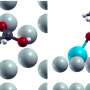 Amino acids and a bone mineral may help control magnesium implant breakdown, three student papers suggest