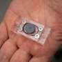 Device simulates natural conditions to grow biofilms and test their antibiotic susceptibility more accurately