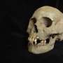 Ancient teeth from Siberia rewrite the plague's timeline, dating back to over 5,500 years ago
