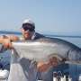 What Chinook salmon eat depends on where they are in the Salish Sea, study finds