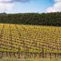 From war to weather, Australian farmers are planting spring crops in an uncertain world