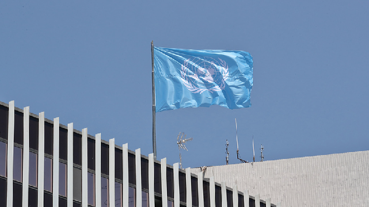 Chinese delegation attends 37th Session of FAO Committee on Fisheries