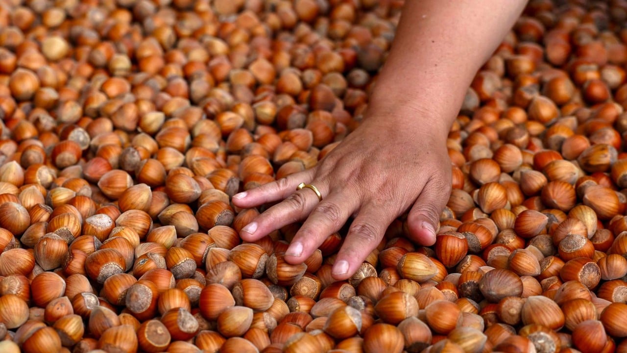 Bhutan banks on high-altitude hazelnuts to remake mountain farming