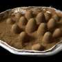 Brain growth may explain why birds lay outsized eggs compared with dinosaurs