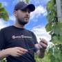Bright people know more about wine: How higher intelligence is reflected in deep domain knowledge