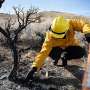 New wildfire research system follows ecosystems from controlled burns through long-term recovery
