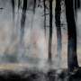 Bushfire simulation reveals green strategy that could cut Australia's fire threat