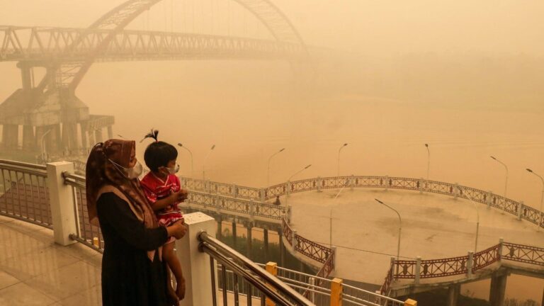 Is Indonesia’s haze rhetoric ‘unempathetic’? Oxygen quip tests regional cooperation