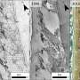 California has lost more than half of its coastal sand dunes, first-ever assessment reveals