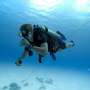 Citizen science could grow beyond data collection under 10 proposed recommendations