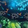 Marine sponge bacterium enzyme reveals a two-part route to make terpenoids