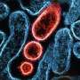 STING protein: Study finds new ways for the body to activate and possibly control inflammation